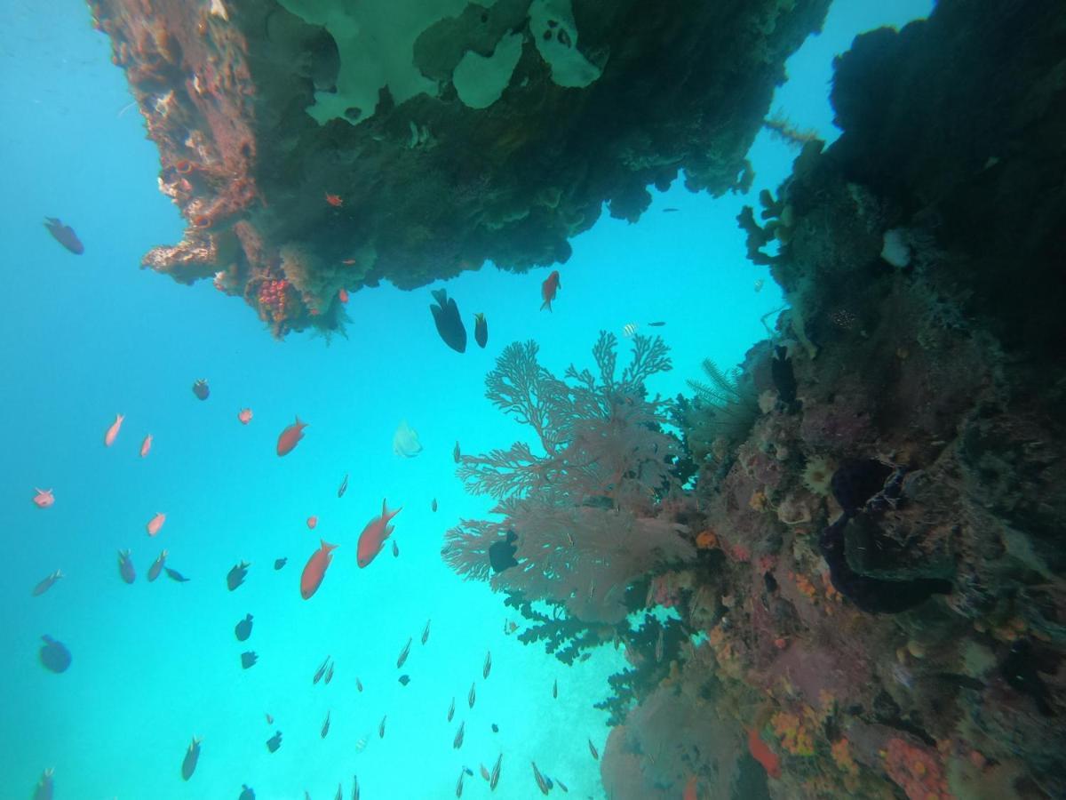 Meos Ambower Homestay Raja Ampat Fam Экстерьер фото