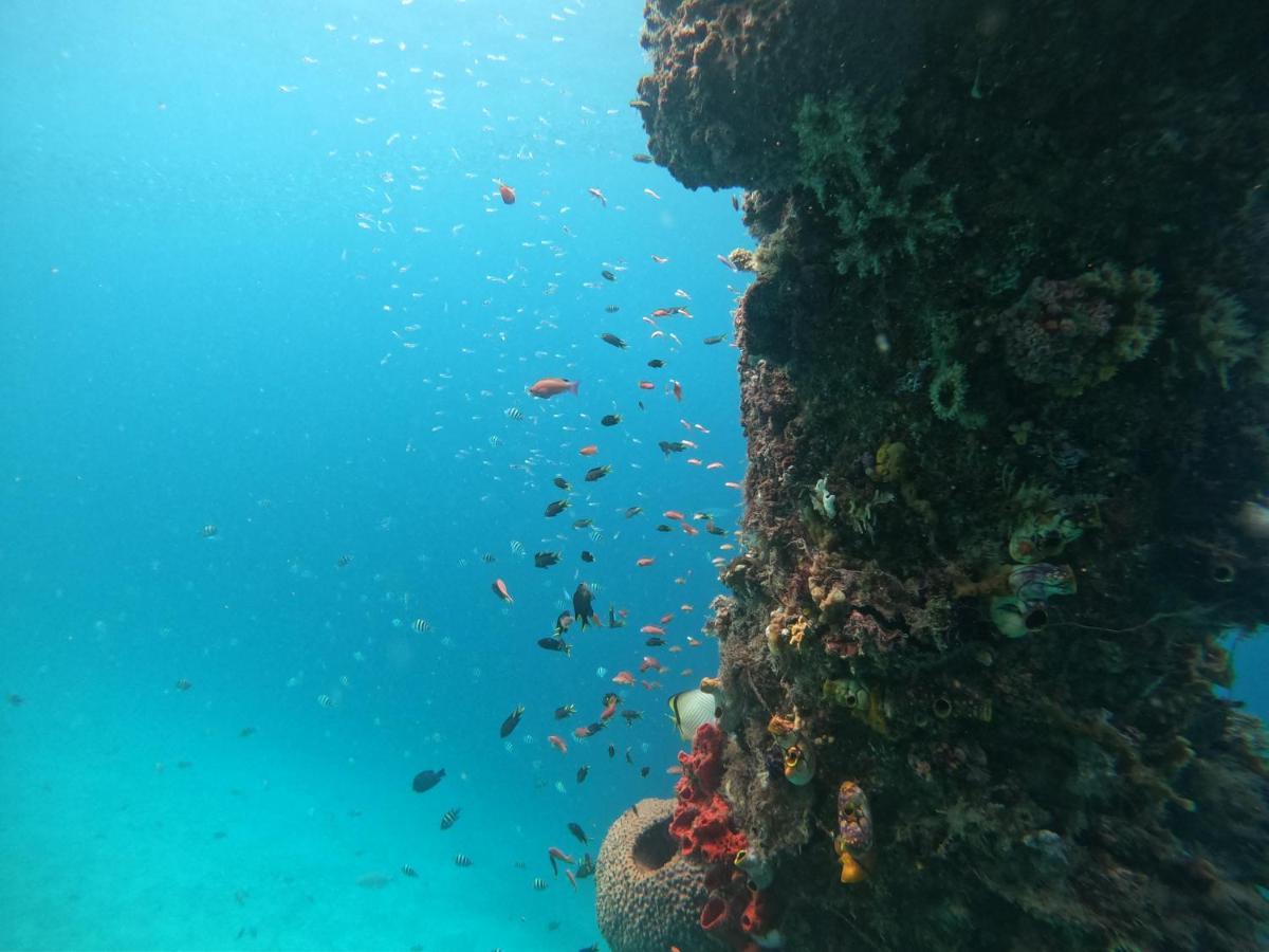 Meos Ambower Homestay Raja Ampat Fam Экстерьер фото