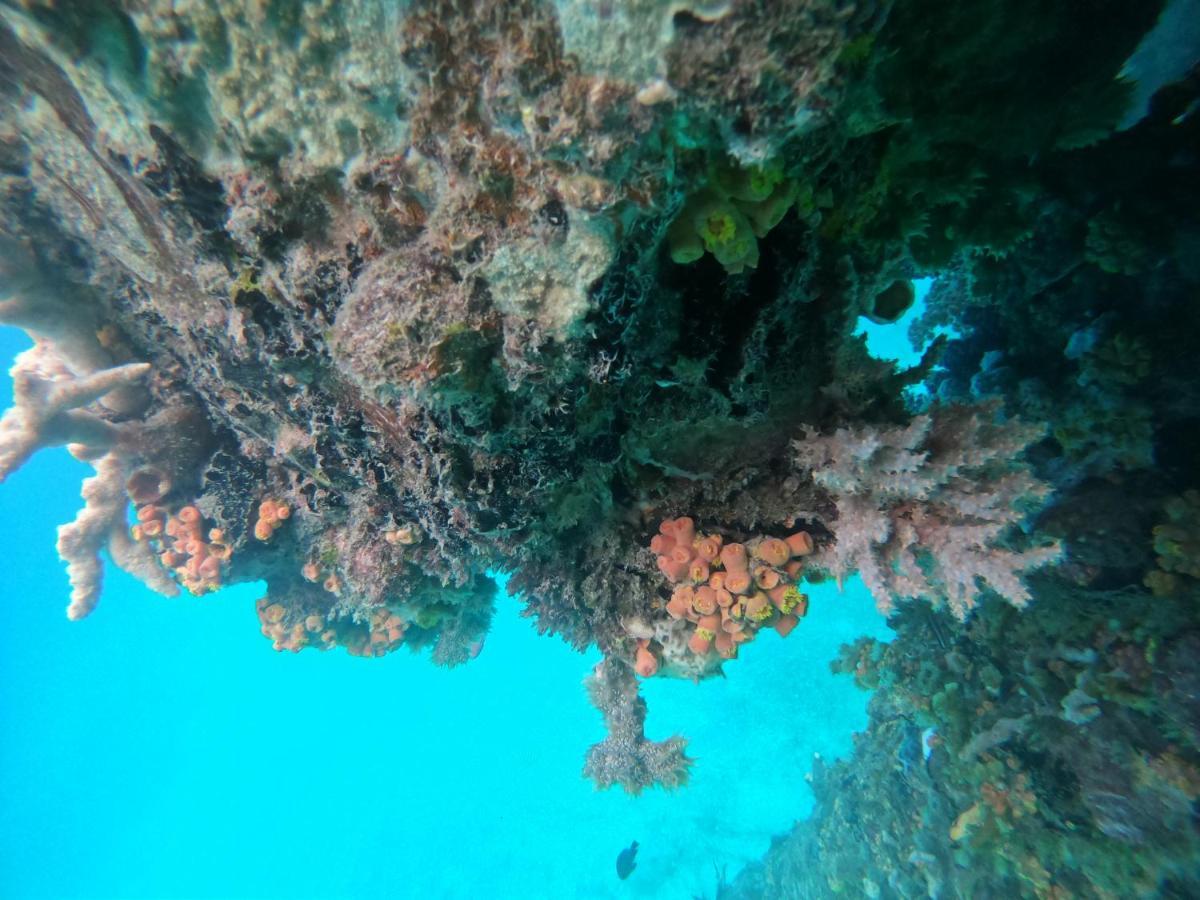 Meos Ambower Homestay Raja Ampat Fam Экстерьер фото
