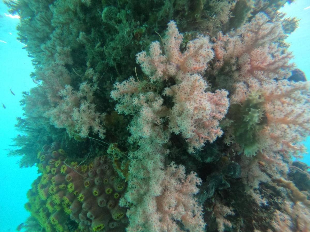 Meos Ambower Homestay Raja Ampat Fam Экстерьер фото