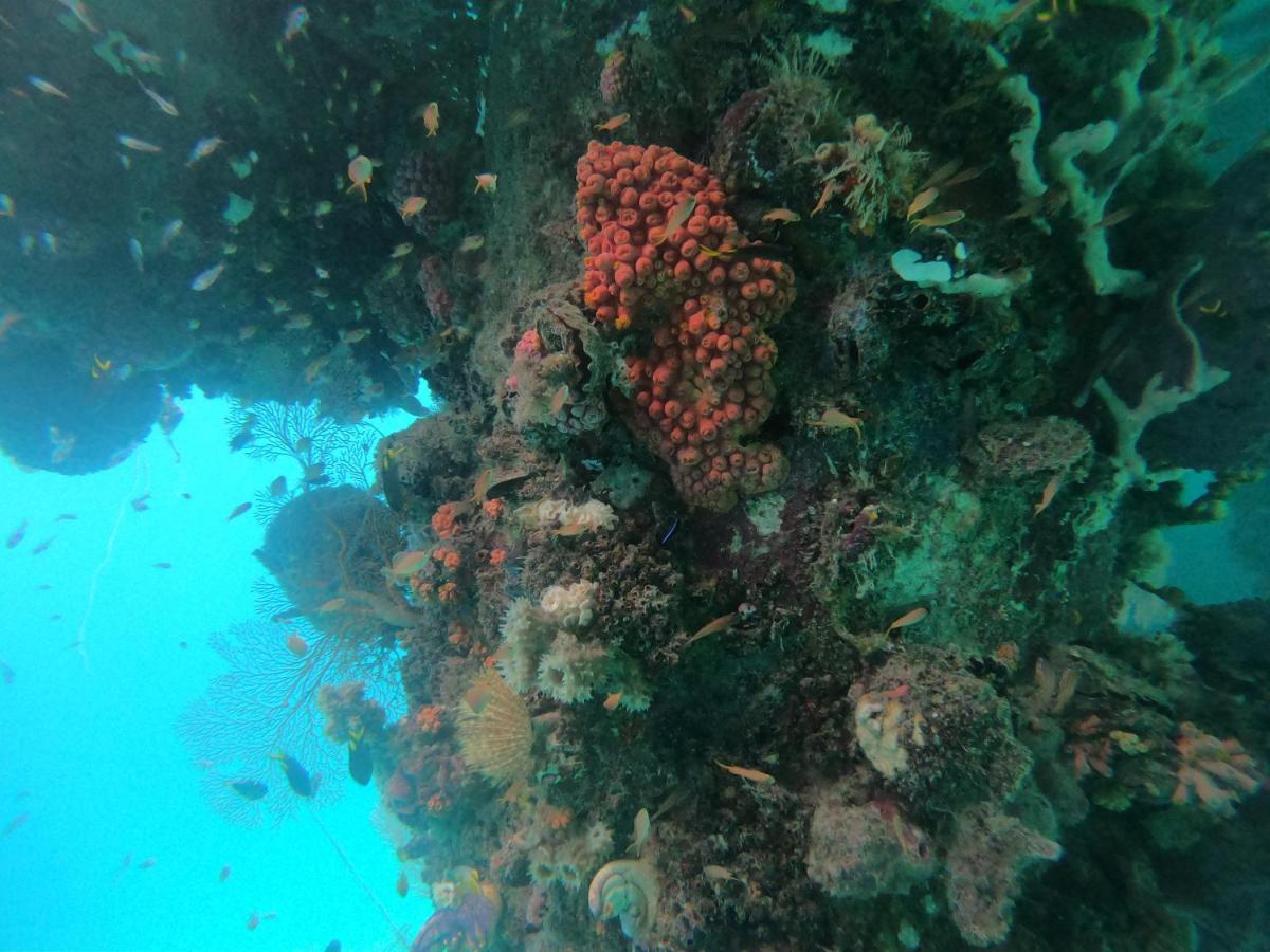 Meos Ambower Homestay Raja Ampat Fam Экстерьер фото