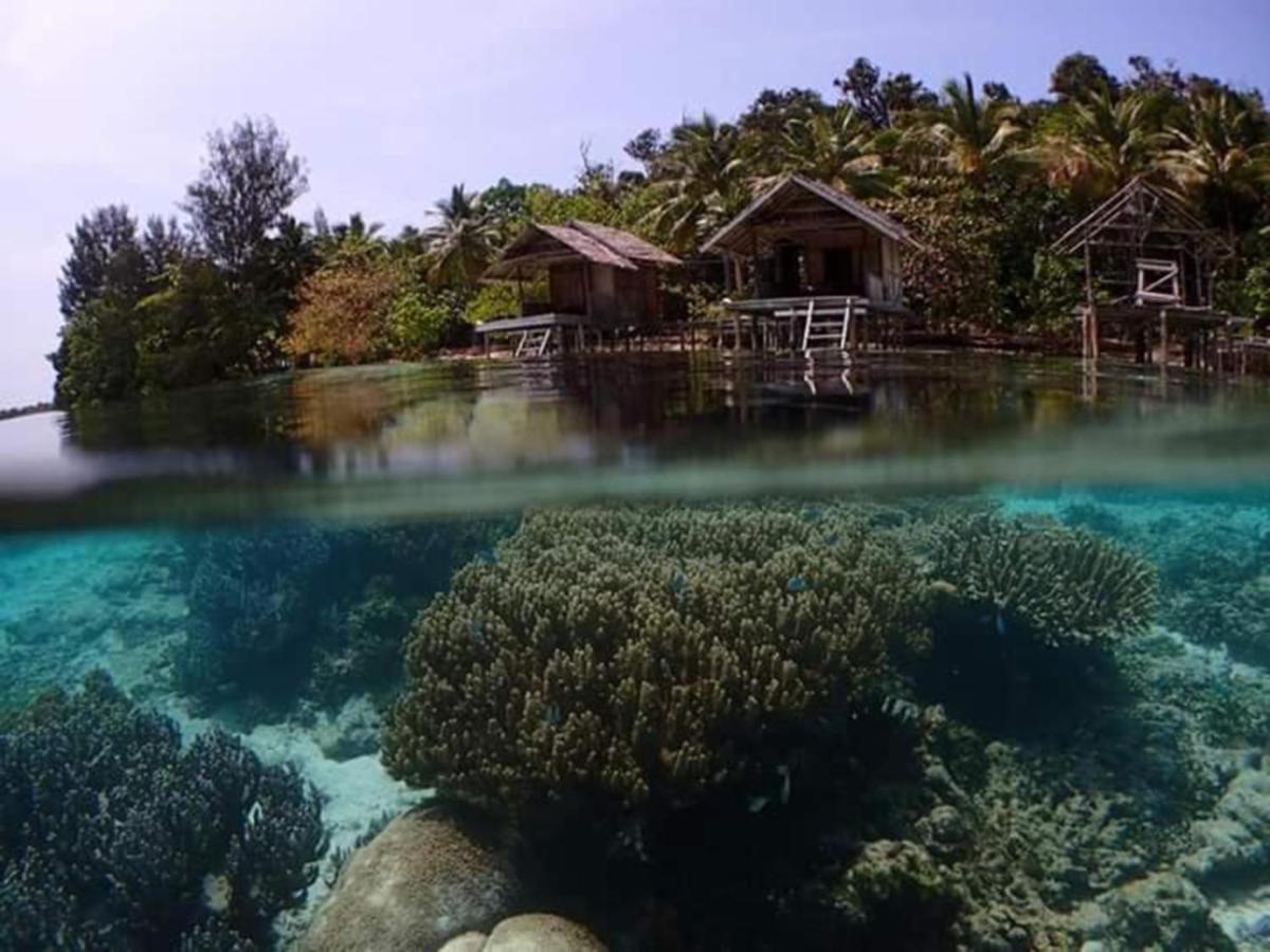 Meos Ambower Homestay Raja Ampat Fam Экстерьер фото